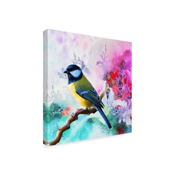 Ata Alishahi 'Birds Over Abstract' Canvas Art,14x14